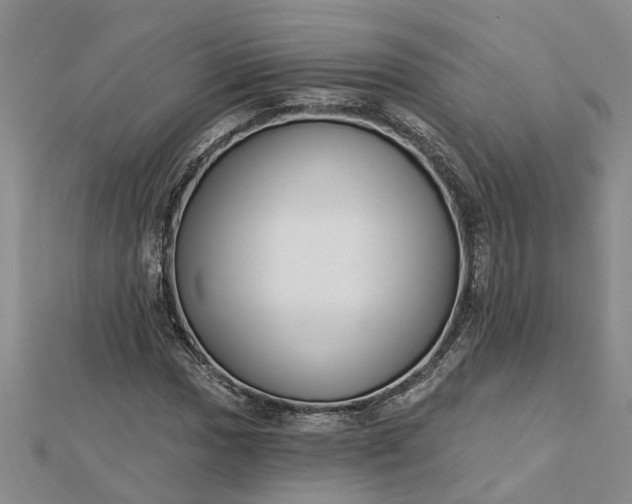 X0000112461017200908311325