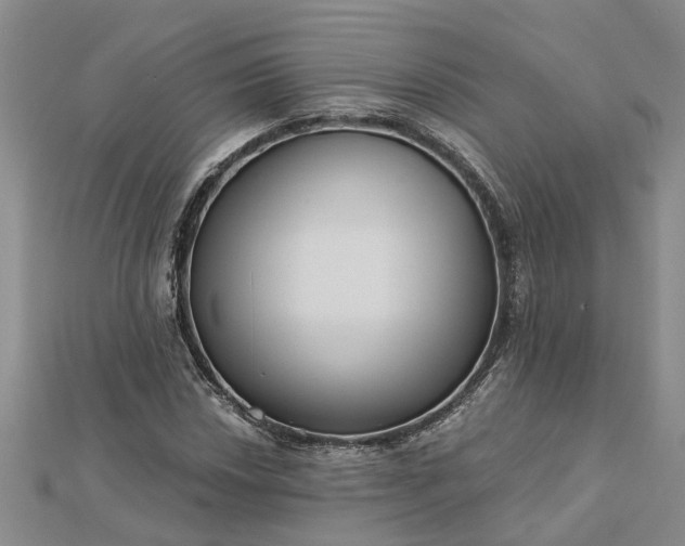 X0000112461018200908311325