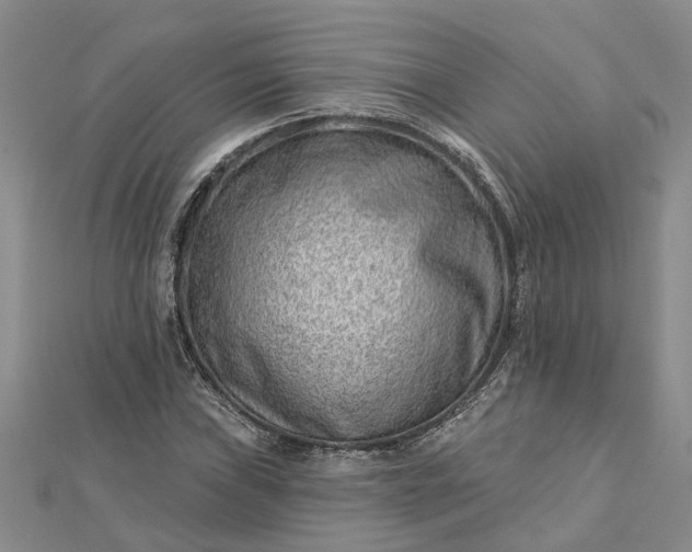 X0000112461019200908311325