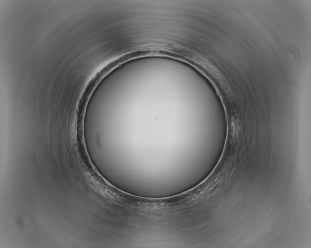 X0000112461020200908311325