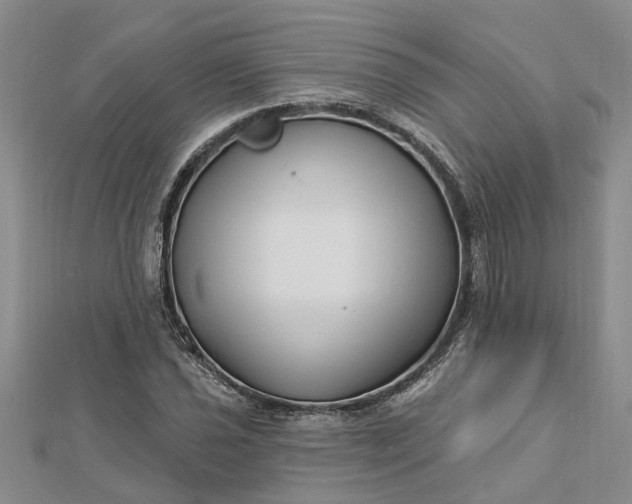 X0000112461021200908311325