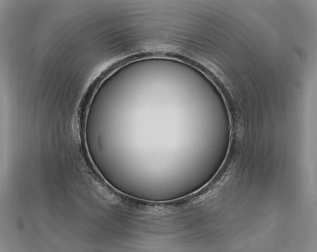 X0000112461022200908311325