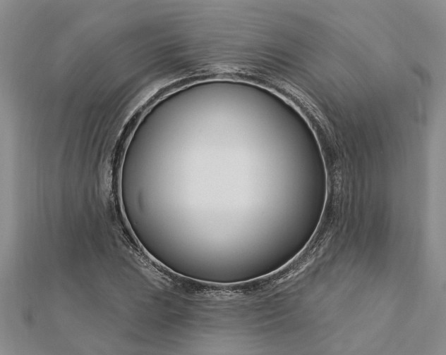 X0000112461023200908311325