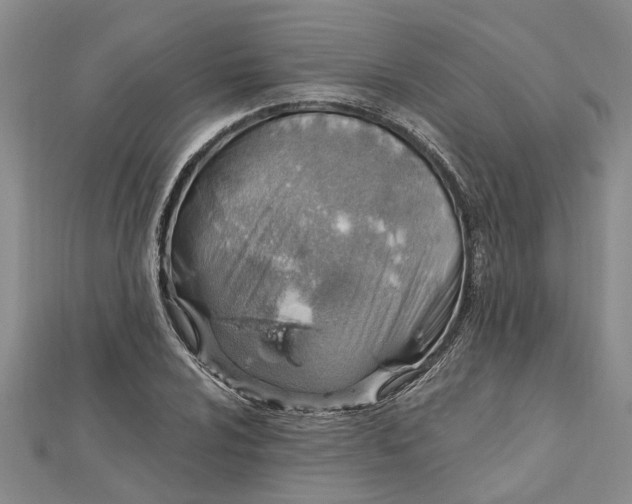 X0000112461024200908311325