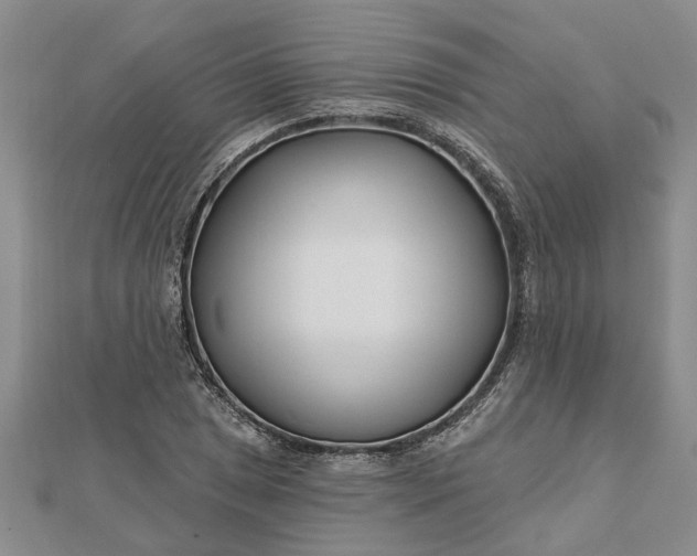 X0000112461025200908311325