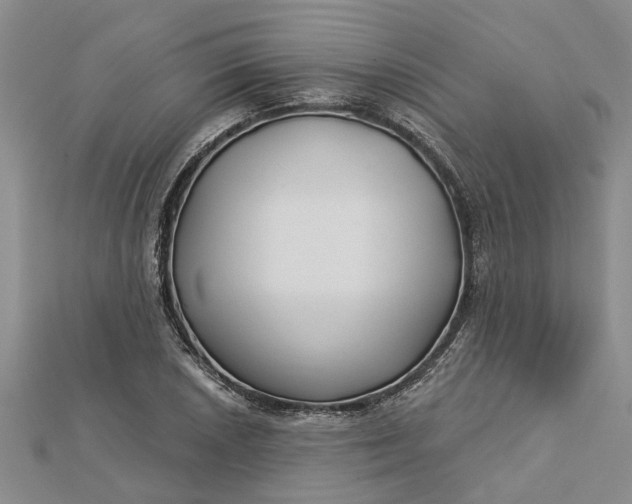 X0000112461026200908311325