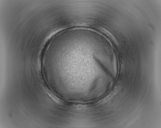 X0000112461027200908311325