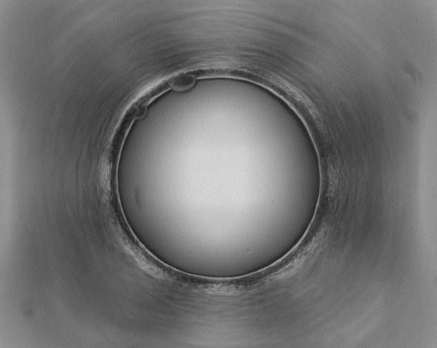 X0000112461029200908311325