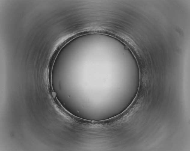 X0000112461030200908311325