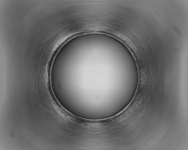 X0000112461031200908311325