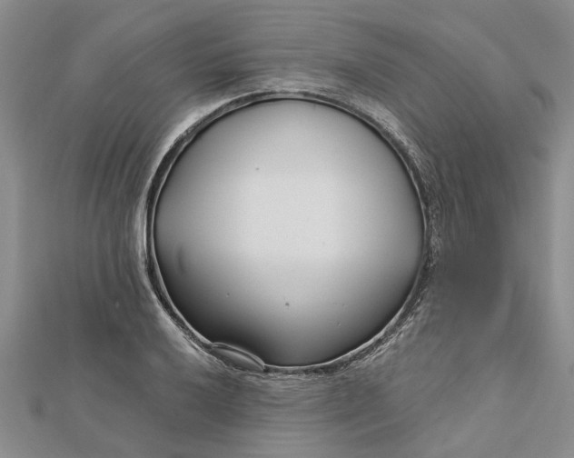 X0000112461032200908311325