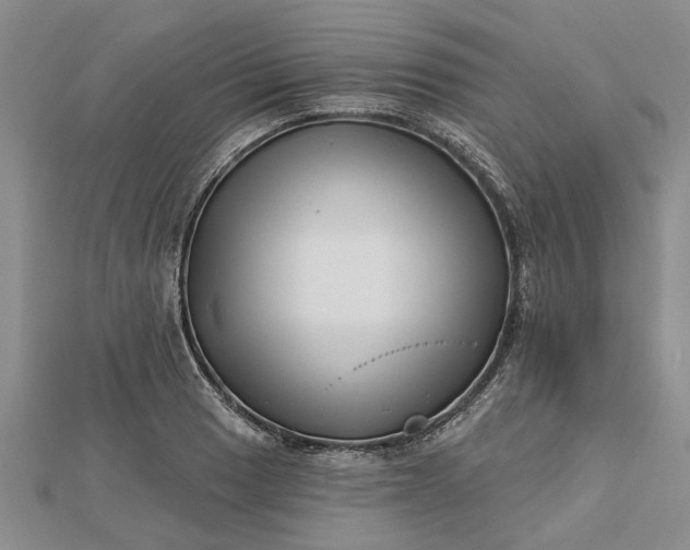 X0000112461033200908311325