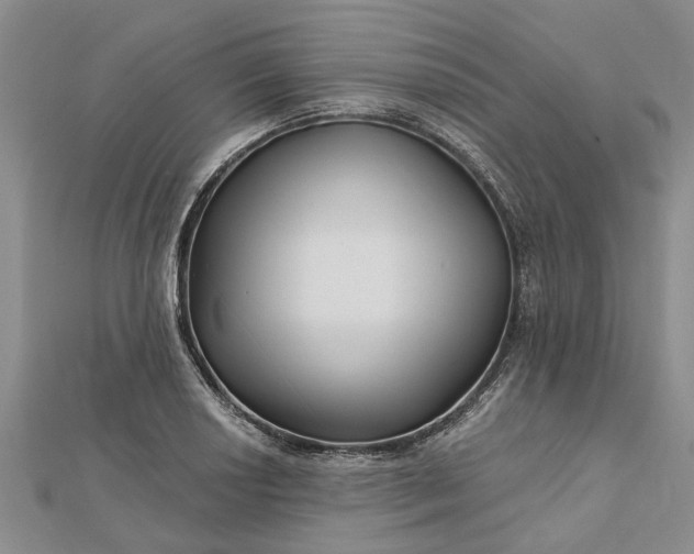 X0000112461034200908311325