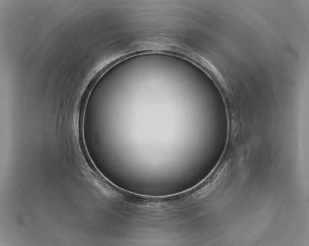 X0000112461035200908311325