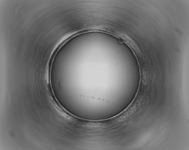 X0000112461036200908311325