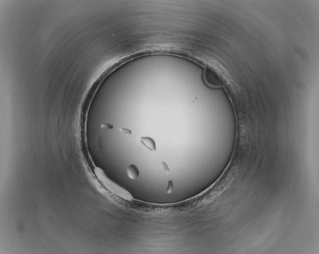 X0000112461038200908311325