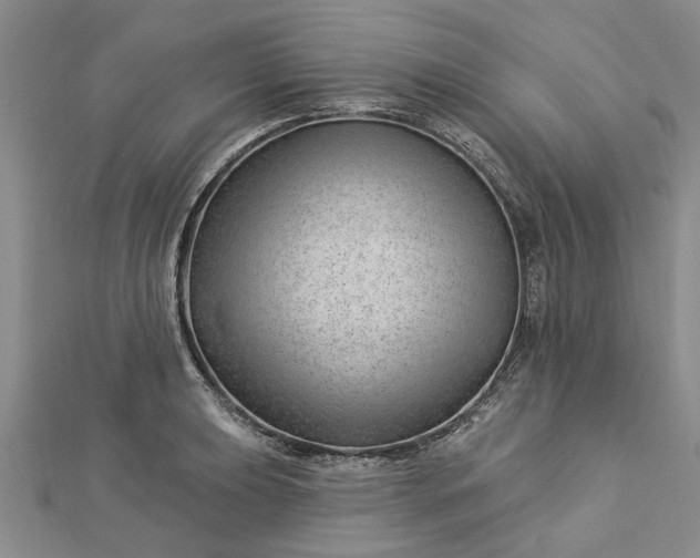 X0000112461039200908311325