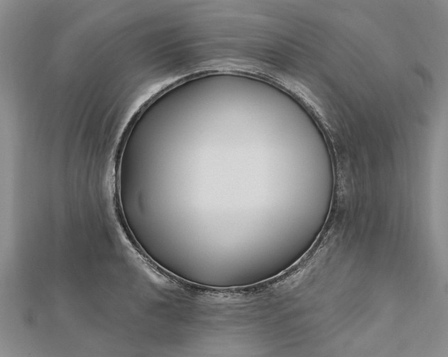 X0000112461040200908311325