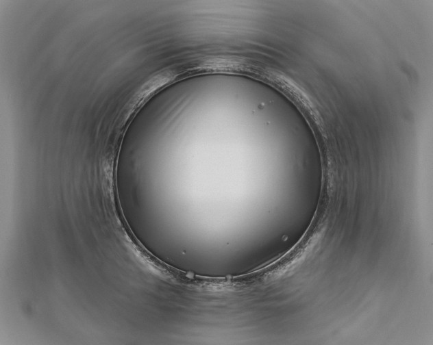 X0000112461041200908311325