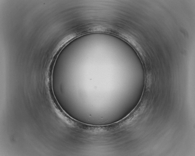 X0000112461042200908311325