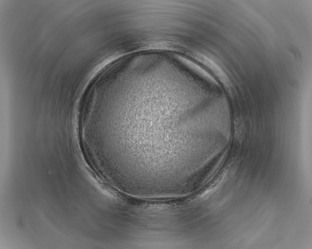 X0000112461043200908311325