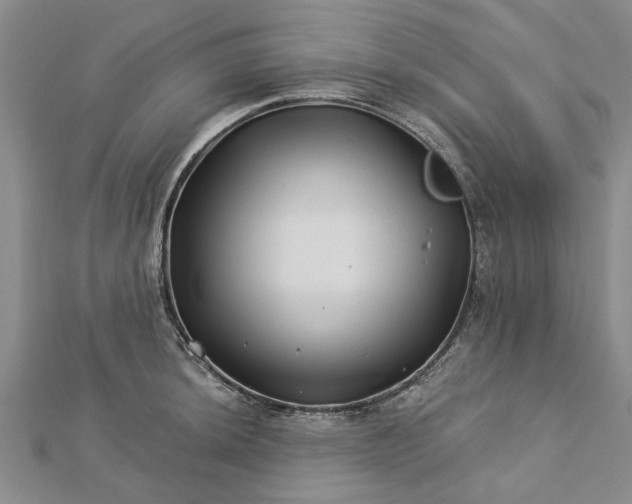 X0000112461044200908311325