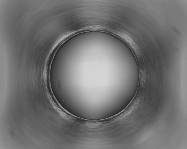 X0000112461046200908311325