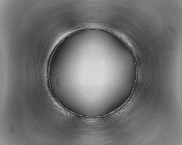 X0000112461048200908311325