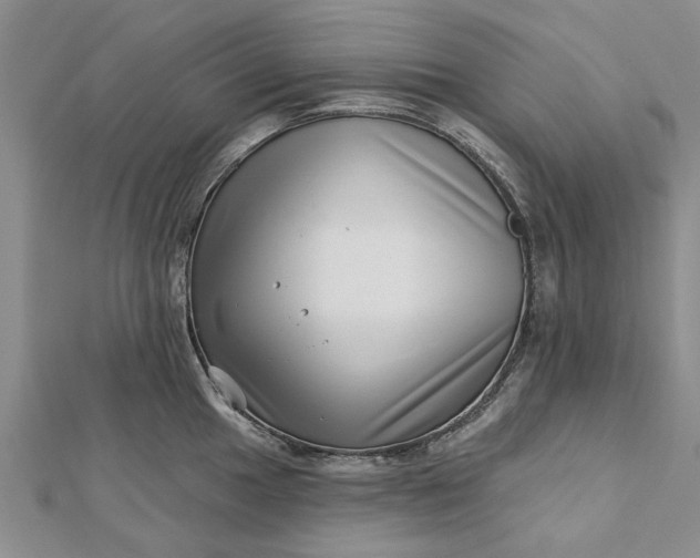 X0000112461049200908311325