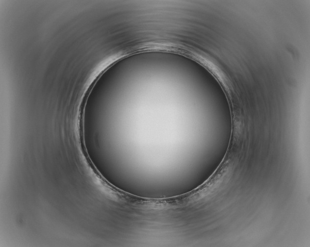 X0000112461050200908311325