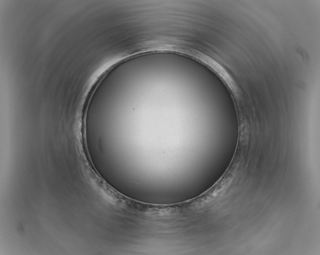 X0000112461051200908311325