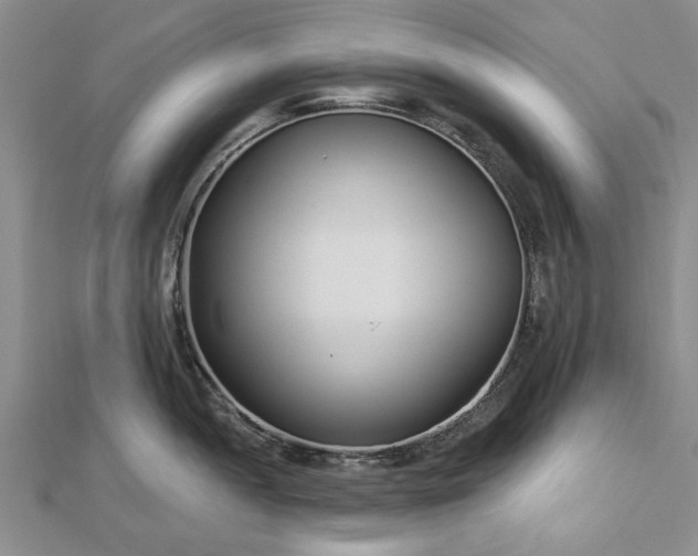 X0000112461052200908311325