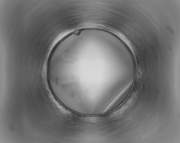 X0000112461053200908311325