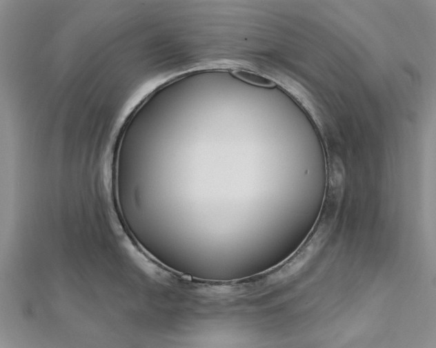 X0000112461054200908311325