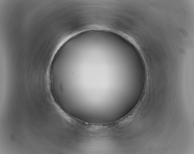 X0000112461056200908311325