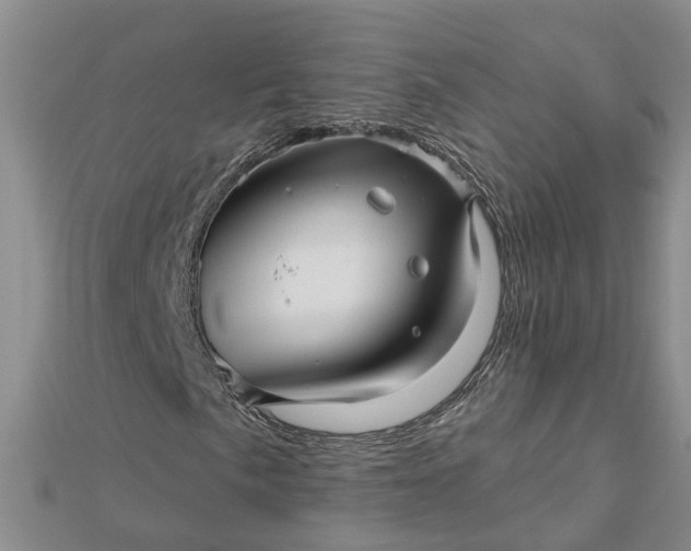 X0000112461057200908311325