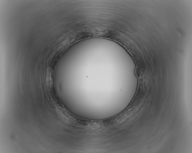 X0000112461058200908311325