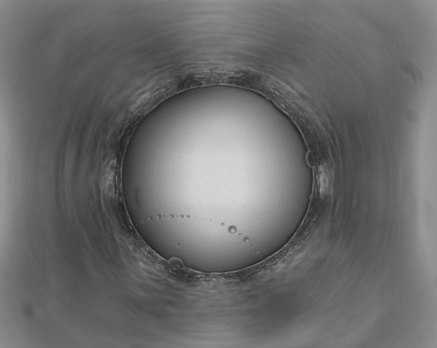 X0000112461059200908311325