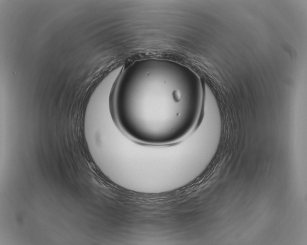 X0000112461060200908311325