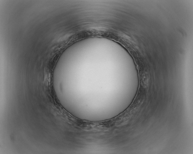 X0000112461061200908311325