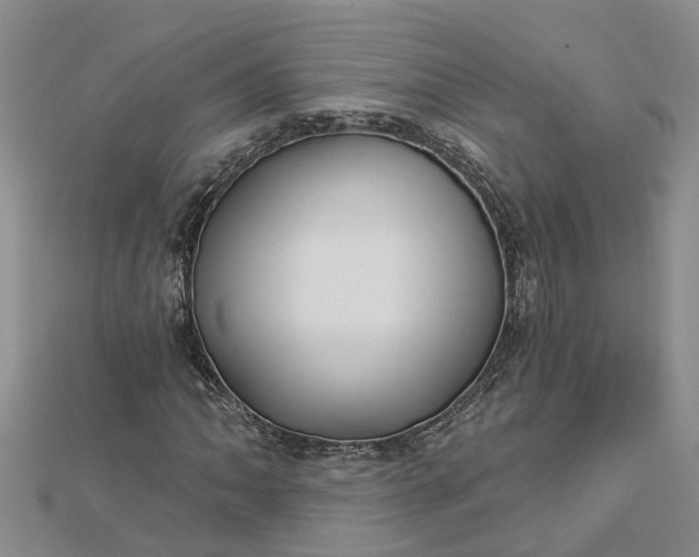 X0000112461062200908311325