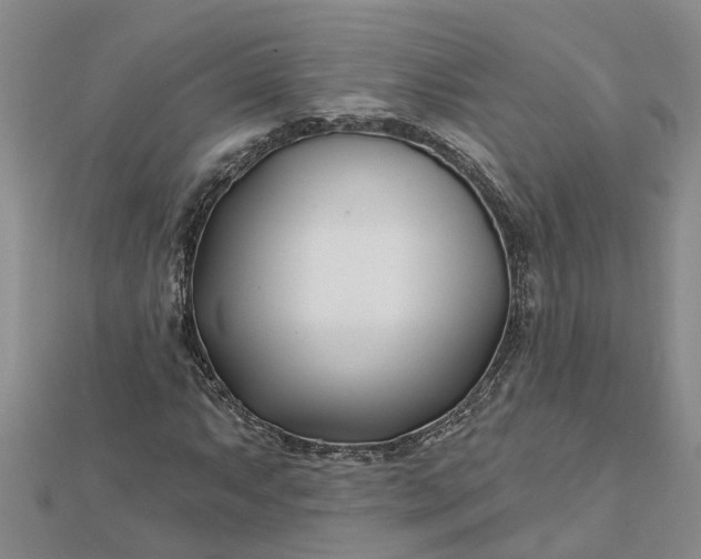 X0000112461063200908311325