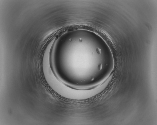 X0000112461064200908311325