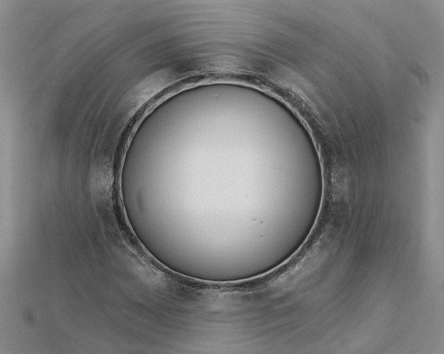 X0000112461065200908311325