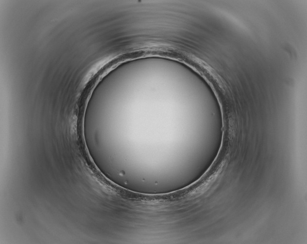 X0000112461066200908311325