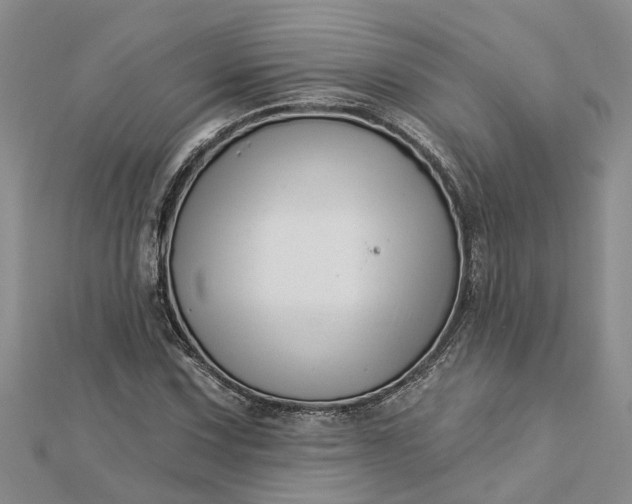 X0000112461067200908311325