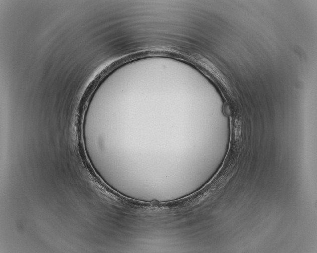 X0000112461068200908311325