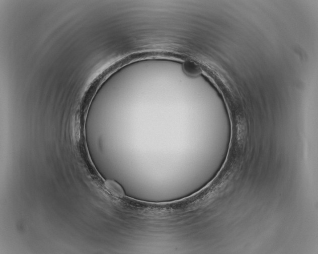 X0000112461069200908311325