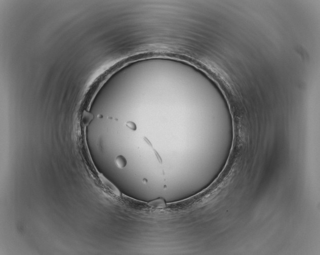 X0000112461070200908311325