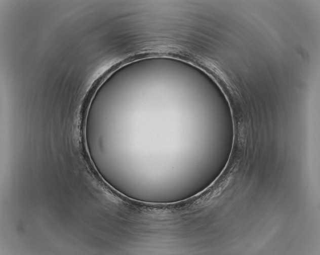 X0000112461071200908311325